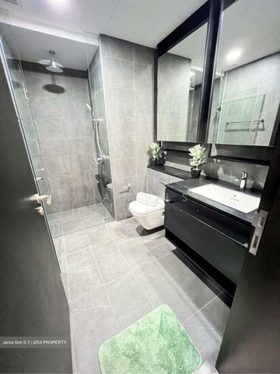 Park Colonial (D13), Condominium #577758821